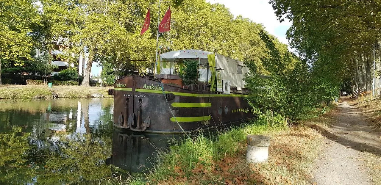 Peniche Amboise Toulouse Centre Port Saint Sauveur Hotel Botel