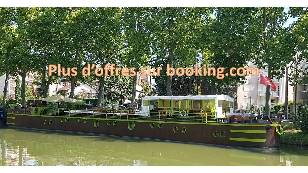 Peniche Amboise Toulouse Centre Port Saint Sauveur酒店